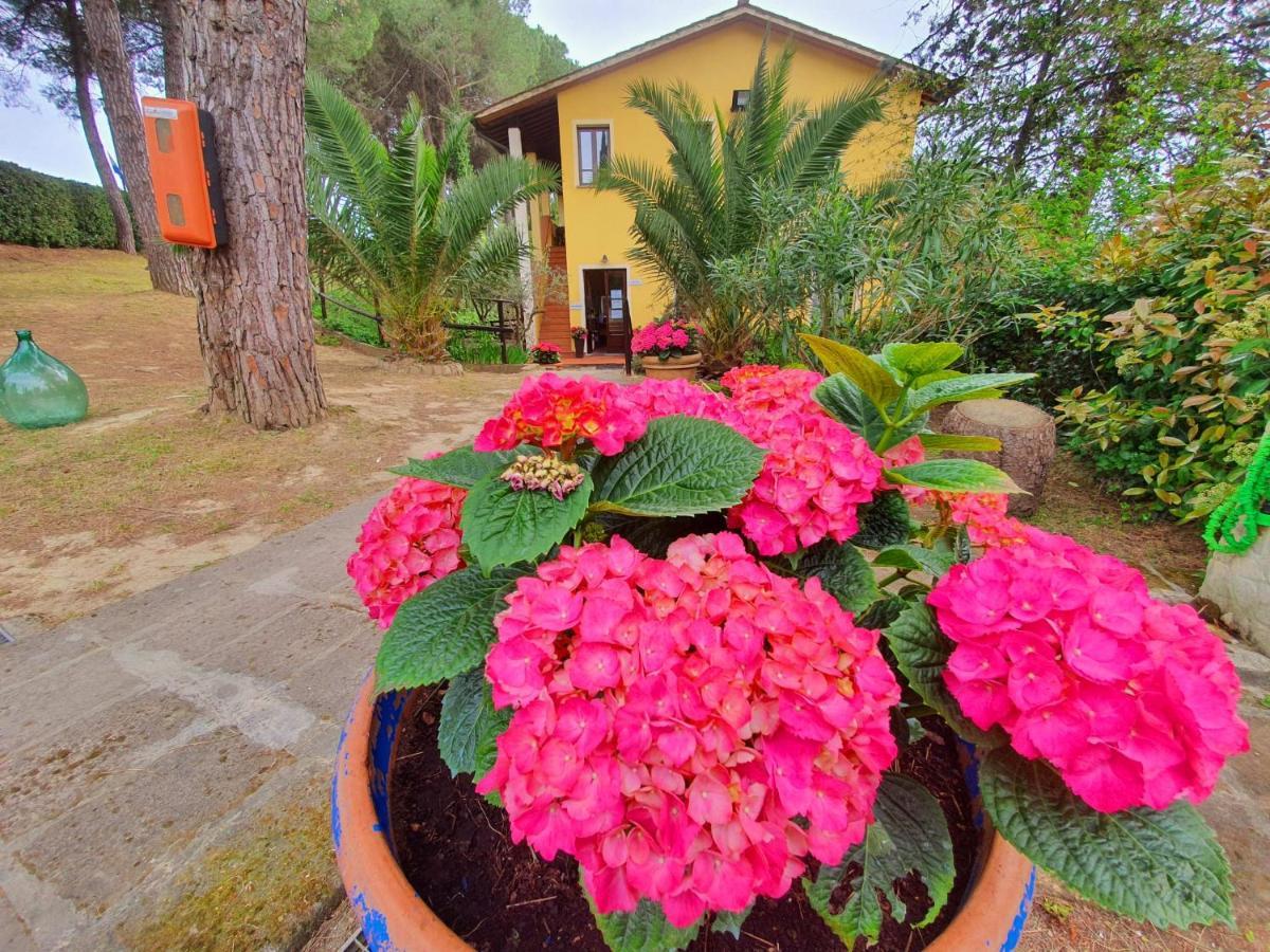 Toscana Holiday Village Монтополі-ін-Валь-д'Арно Екстер'єр фото